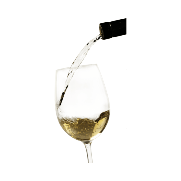 Semillon Tasting